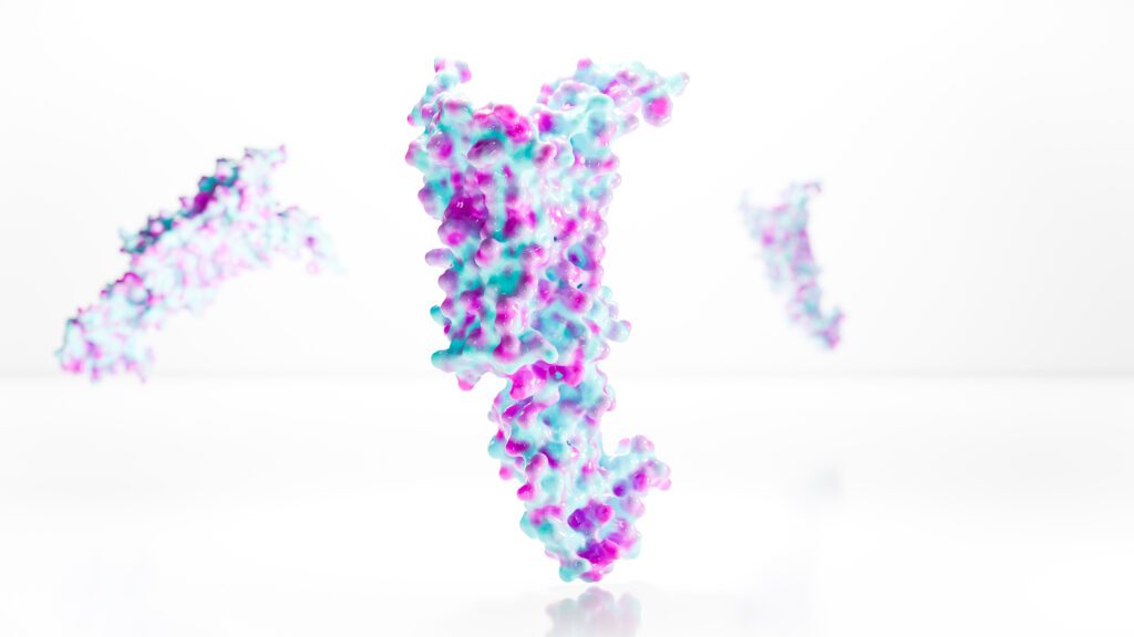 scientific 3D model creation