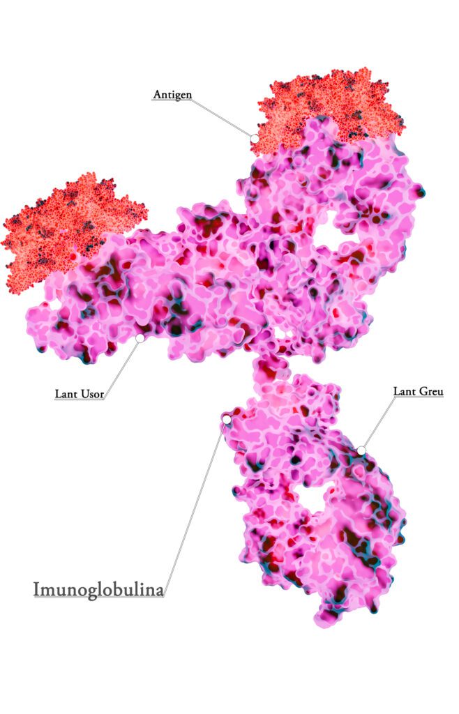 visualize a molecule without PDB