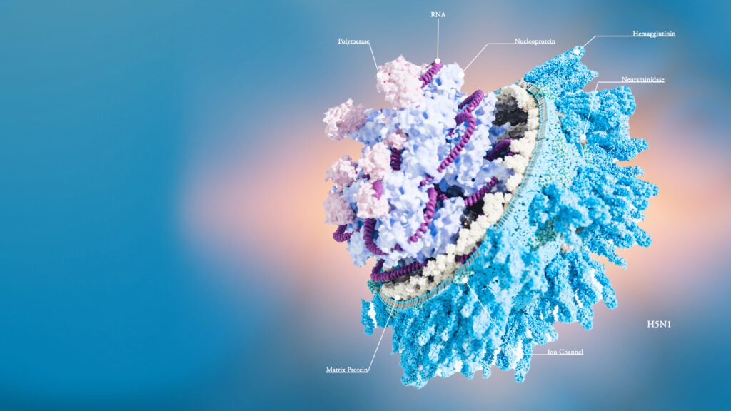 beautiful molecular figures