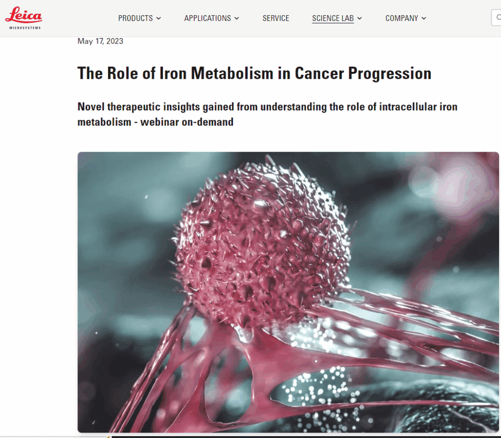 Screenshot 2024-09-29 212849