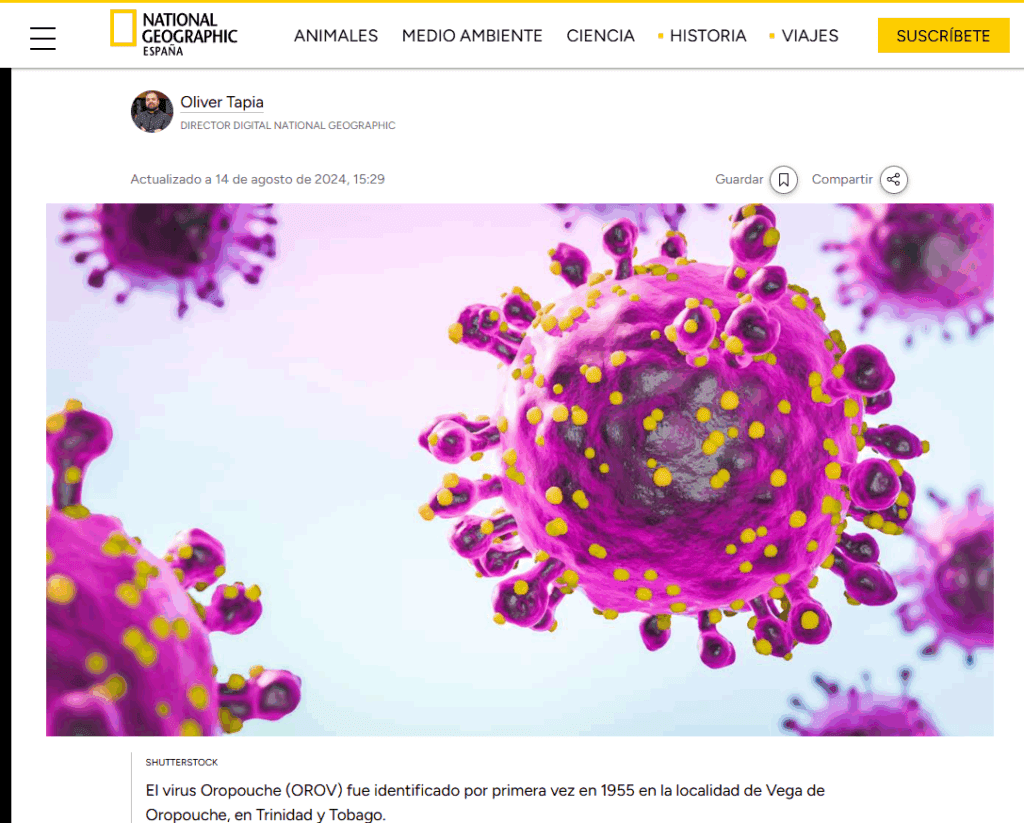 Screenshot 2024-10-29 100645