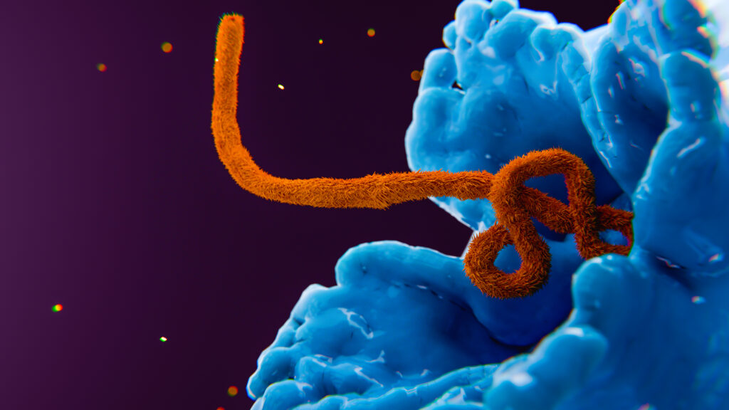 accurate molecular rendering