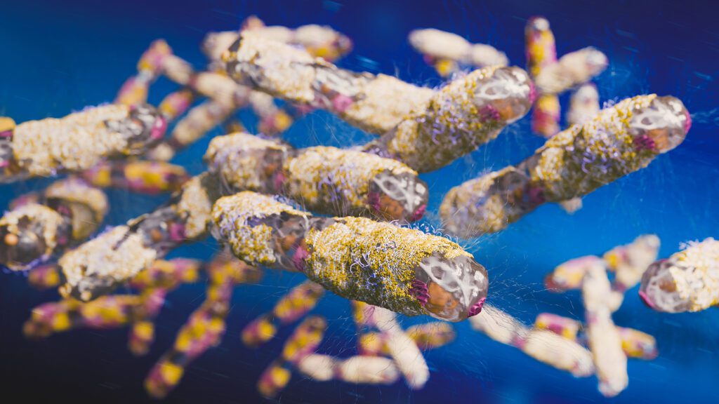 gut microbiome autism