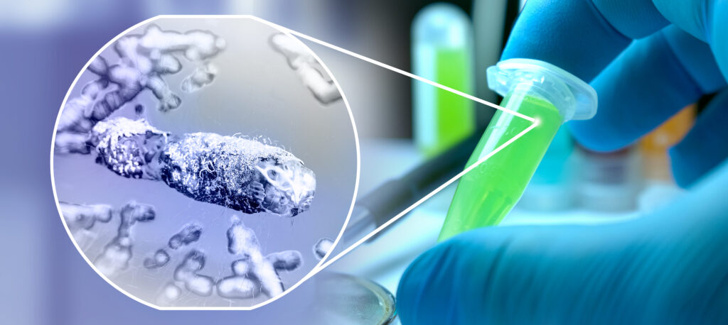 3D scientific detail level